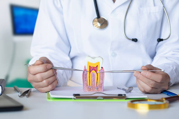 Best Emergency Dentist for Special Needs Patients in North Sea, NY
